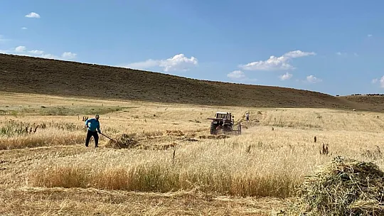 Sıcak havaya rağmen çiftçiler hasada devam ediyor