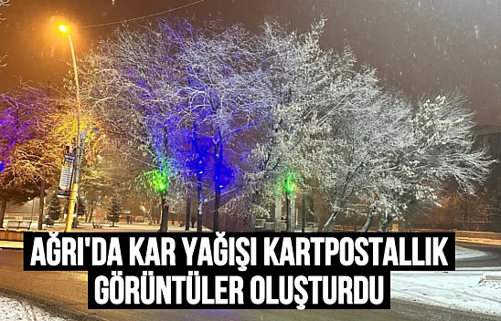 Ağrı'da Kar Yağışı Kartpostallık Görüntüler Oluşturdu