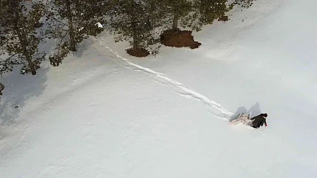 İlçede yaban hayatını unutmadı
