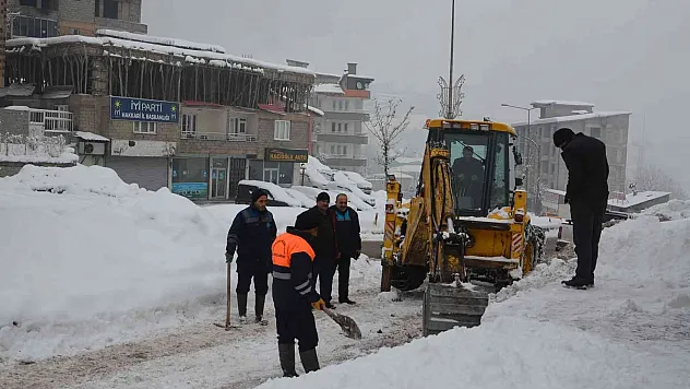 Hakkari'de bin abonenin suyu dondu
