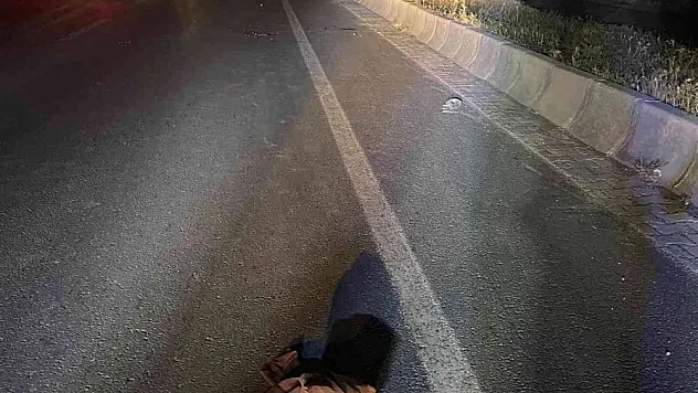 Ağrı'da tırın çarptığı kadın hayatını kaybetti
