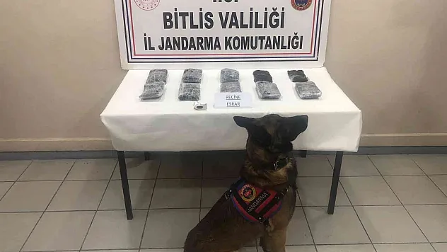 Bitlis'te 14 kilo 390 gram reçine esrar ele geçirildi
