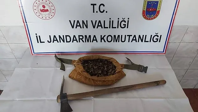 Van'da salep soğanı toplayan 7 kişi yakalandı
