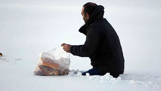 Yaban hayvanları için beline kadar kara batarak doğaya ekmek bıraktı
