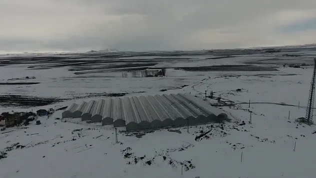 Eksi 30 derecede Hindistan cevizi kabuğunda 25 ton domates üretecekler
