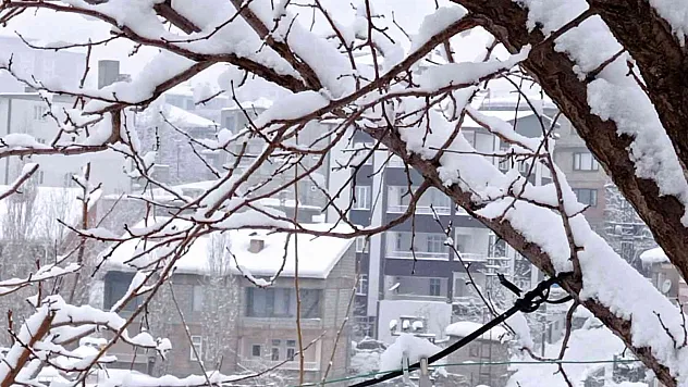 Hakkari'de 21 yerleşim yeri yolu ulaşıma kapandı
