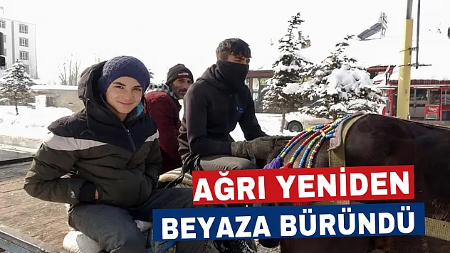 Ağrı'da kar yağışı kenti beyaza bürüdü