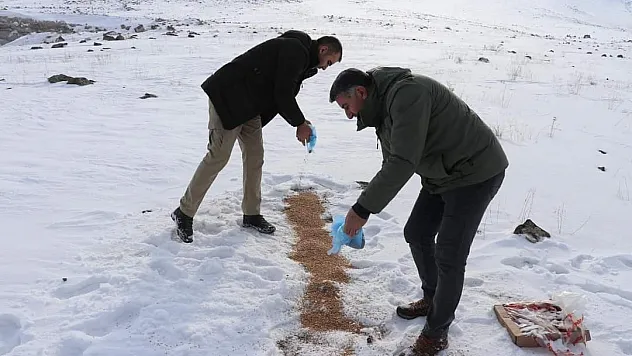 Jandarma ve emniyetten yemleme çalışması