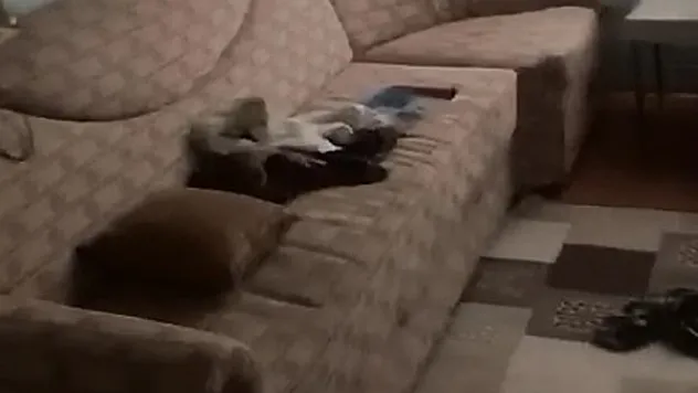 Hırsızlar güpegündüz kapısını ve pencere korkuluklarını çaldıkları evi talan etti
