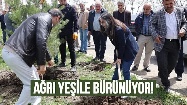 Ağrı Belediyesi'nden Yeşil Dönüşüm Hamlesi: 720 Sarı Çam Toprakla Buluştu