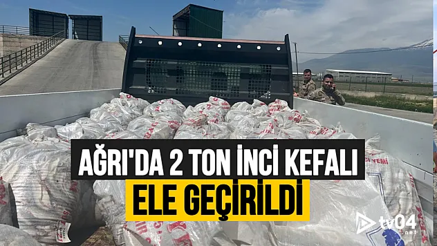 Ağrı'da 2 Ton Kaçak İnci Kefali Ele Geçirildi!