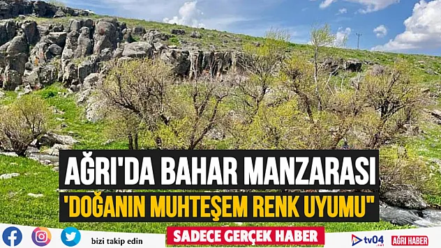 Ağrı'da baharın gelişi ile doğanın renk uyumu büyüledi