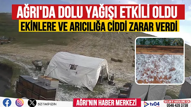 Ağrı'da dolu yağışı arıcılığa ve ekinlere zarar verdi