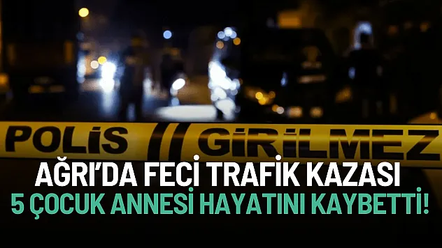 Ağrı'da Feci Kaza: Yolun Karşısına Geçen 5 Çocuk Annesi Öldü