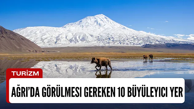 Ağrı'da Görülmesi Gereken 10 Büyüleyici Yer – Detaylı İnceleme