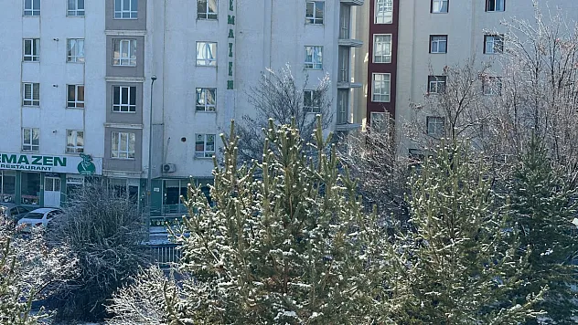 Ağrı'da kar yağışının ardından güneş açtı