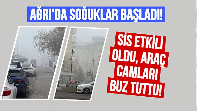 Ağrı'da Kış Kapıyı Çaldı: Sis ve Ayaz Hayatı Olumsuz Etkiliyor