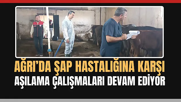 Ağrı'da Şap Hastalığına Karşı Aşılama Çalışmaları Devam Ediyor