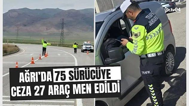 Ağrı'da Trafik Denetimlerinde 75 Sürücüye Ceza: 27 Araç Trafikten Men Edildi