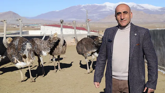 Ağrı'da Türkiye'nin İlk Resmi Deve Kuşu Çiftliği Kuruldu