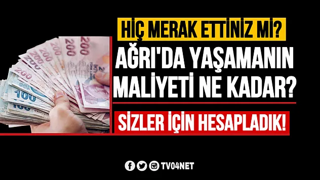 Ağrı'da Yaşamanın Maliyeti Ne Kadar?