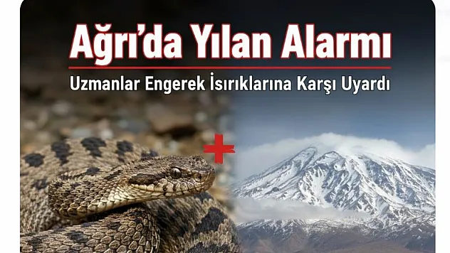 Ağrı'da Yılan Alarmı: Uzmanlar Engerek Isırıklarına Karşı Uyardı