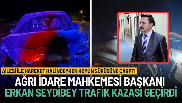 Ağrı İdare Mahkemesi Başkanı Erkan Seydibey Patnos'ta Trafik Kazası Geçirdi