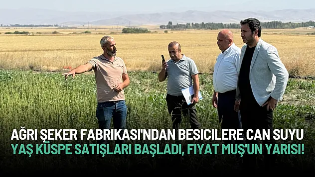 Ağrı Şeker Fabrikası'ndan Besicilere Can Suyu: Yaş Küspe Satışları Başladı, Fiyat Muş'un Yarısı!