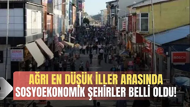 Ağrı Sosyoekonomik Seviyesi En Düşük İller Arasında Yer Aldı