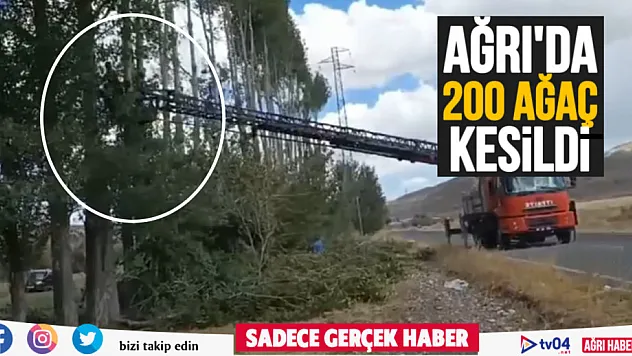 Ağrı'da 200 ağaç kesildi