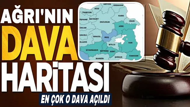 Ağrı'da en çok hangi dava açıldı? İşte dava haritası