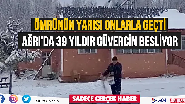 Ağrı'da güvercinleri ile dost oldu, ömrünün yarısını onları besleyerek geçirdi
