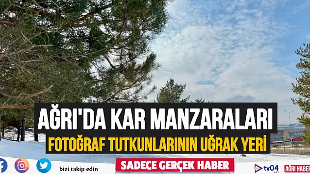 Ağrı'da kartpostallık kar manzaraları