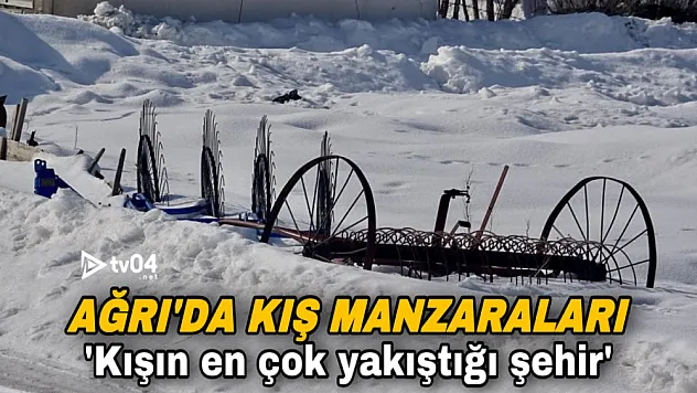 Ağrı'da kış manzarası objektiflere yansıdı