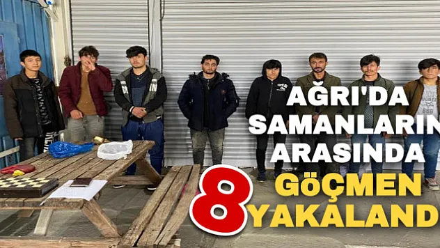 Ağrı'da samanların arasında 8 düzensiz göçmen yakalandı