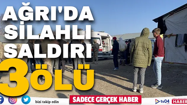 Ağrı'da silahlı saldırı: 3 kişi kafasından vurularak öldürüldü