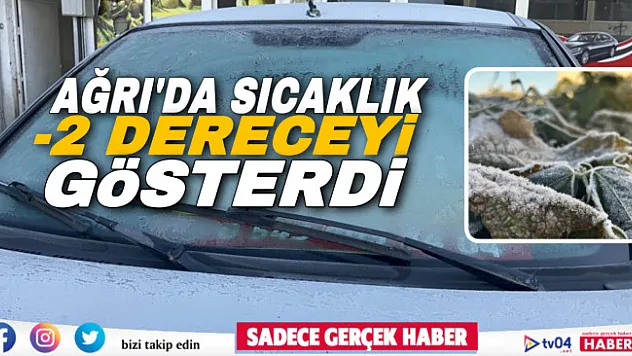 Ağrı'da termometreler eksi 2 dereceyi gösterdi