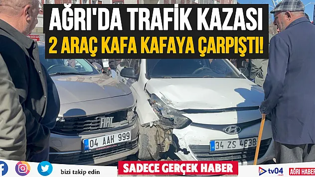 Ağrı'da yola kontrolsüz çıkan araç kaza yaptı
