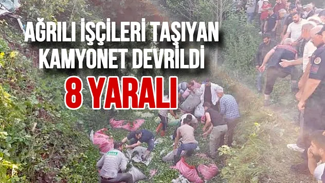 Ağrılı Çay İşçilerini Taşıyan Kamyonet Kaza Yaptı: 8 Yaralı