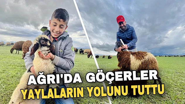 Ağrılı göçerler koyun sürüsüyle yaylaların yolunu tuttu