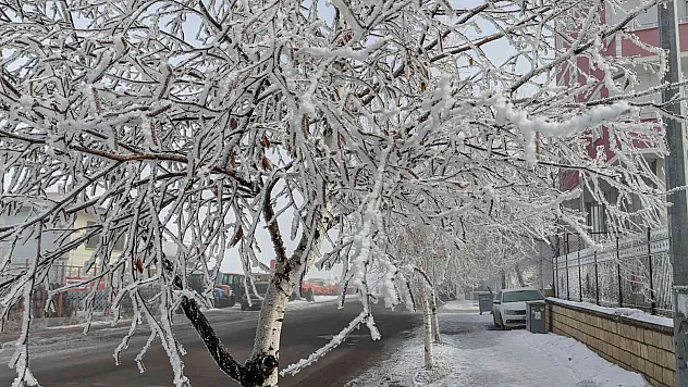 Ardahan eksi 20 derece

