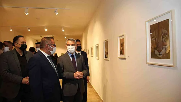 Tunceli'de 'Necefli Maşrapa Serisi: Hayvan Krallığı-II' sergisi açıldı
