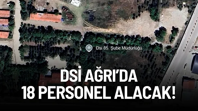 DSİ Ağrı'da 18 personel alacak!