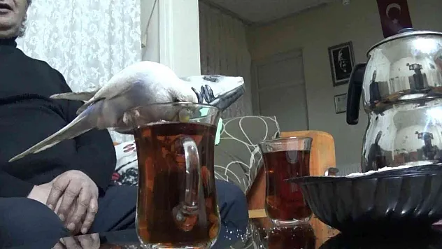 Bu çayın tiryakisi bir başka
