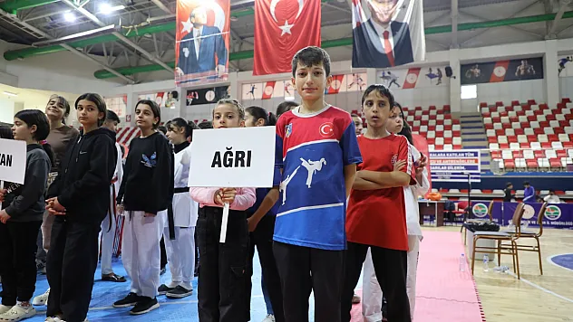 Geleceğin Yıldızları Ağrı'da Buluştu: Taekwondo Dostluk Turnuvası Nefes Kesti