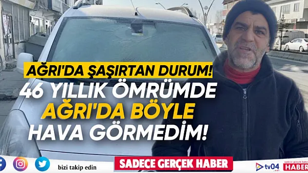 Kara hasret kalan Ağrı'da ağaç kökleri dondu