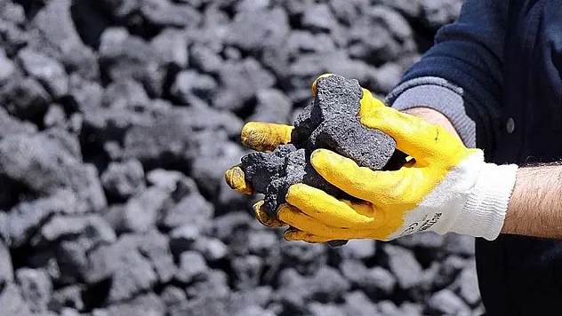 Milyonlarca Yıllık Sır Perdesi: Kömür Nasıl Oluşur? Yer Altındaki Dehşet Verici Dönüşümün Hikayesi!