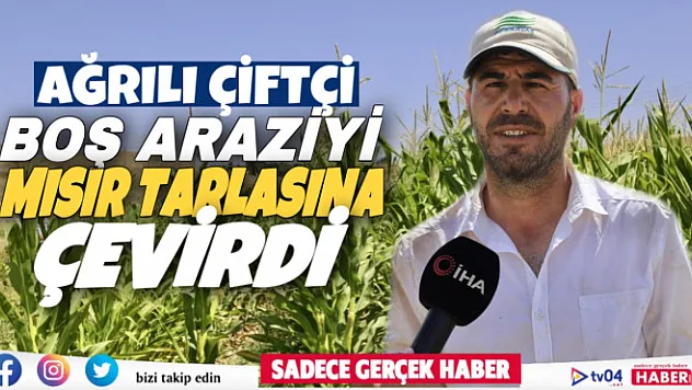 Murat Nehri'nden faydalanan öğretmen, boş araziyi mısır tarlasına çevirdi