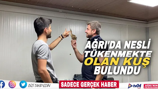 Nesli tükenmekte olan 'Balaban kuşu' Ağrı'da ortaya çıktı