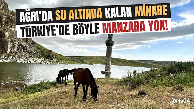 Türkiye'de Böyle Bir Manzara Daha Yok! Ağrı'daki Su Üstü Minareye Ziyaretçi Akını